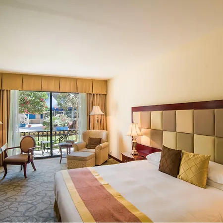 Grand Excelsior